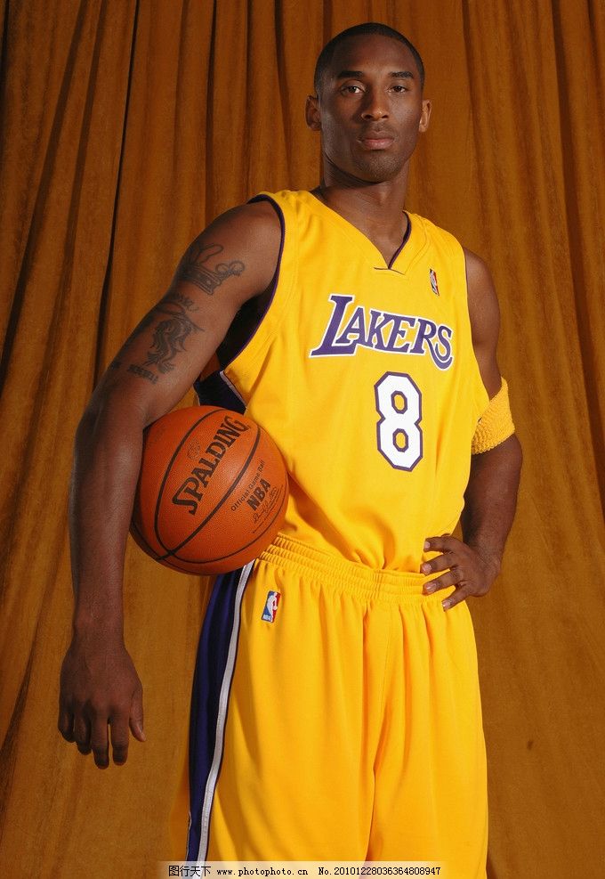 平注为主